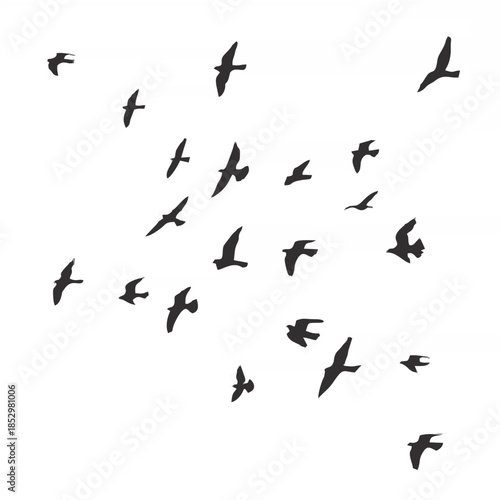 Silhouette of a flock of flyi...