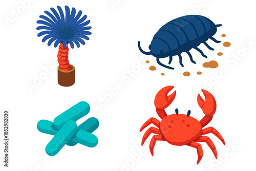 Deep Sea Food Web. Isometric vector illustration set Deep Sea Nutrient Web: Filter-feeding worm, detritus-consuming isopod, carbon