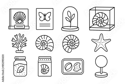 Specimen Line Art. Line style icons of preserved specimens: labeled shell, specimen card, glass dome, box; dried coral, fossil