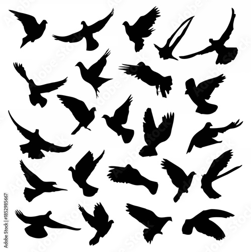 Collection of vector silhouet...