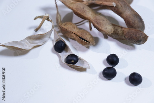 Harvested black soybeans and pods Photo