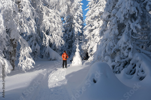 An athlete in a winter forest during a snowmobile ride. Winter in the Urals, Russia