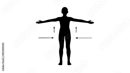 Minimal silhouette of a standing person aligned from head to toe, posture correction and holistic wellness concept.
