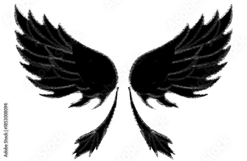Black wings with white line accents, isolated on white background, clean symbolic design for graphic and branding use.