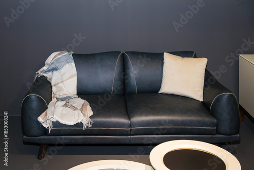 Modern leather material upholstery couch inside living room interior
