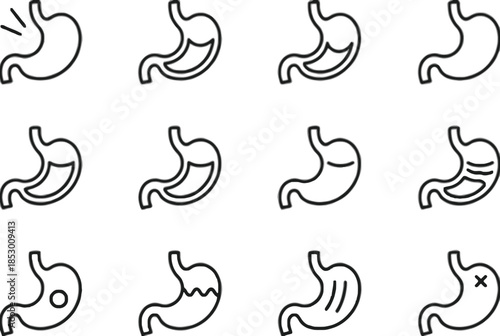 Illustrations of various stomach icons isolated on white background, Vector, illustration