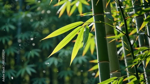 Close-up of lush green bamboo leaves swaying gently in the breeze, set against a tranquil blurred background of a bamboo forest