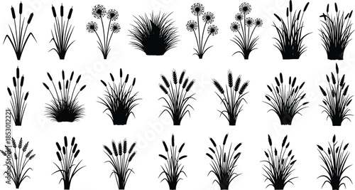 Grass silhouette, wildflower vector, botanical clipart, ornamental plant, foliage shape, nature graphic, garden element, black flat illustration, decorative flora