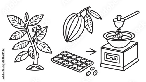 Chocolate-making process illustration