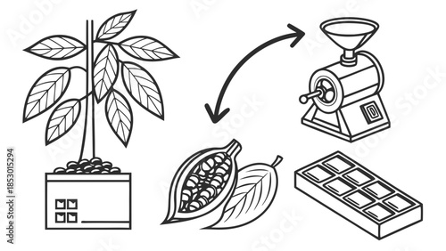 Chocolate production illustration with cacao tree, beans, and machine 