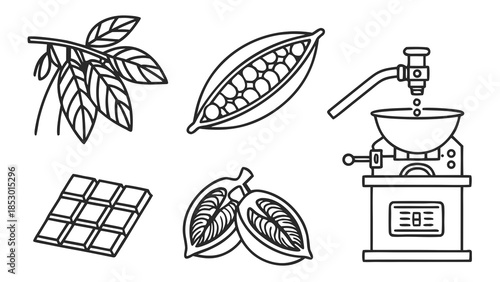 Cocoa ingredients process illustration design