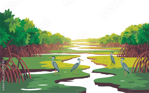 Serene wetland landscape with herons in natural habitat