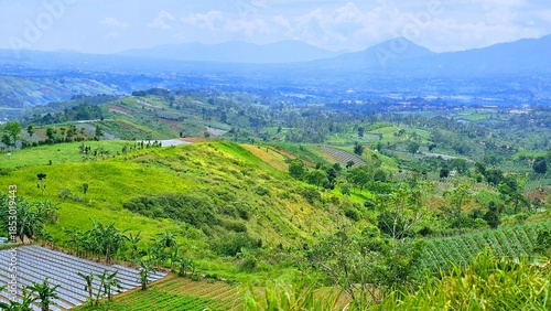 Scenic view of  fertile and beautiful agricultural area on the slopes of Mountain.