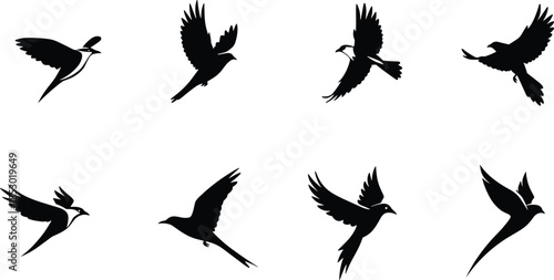 Bird icon set, flying silhouette, wing spread, gliding pose, black illustration, nature emblem, flight concept, avian art, sky symbol