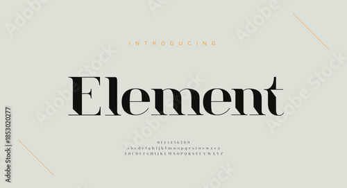 Elegant alphabet letters font and number. Classic Copper Lettering Minimal Fashion Designs. Typography fonts regular uppercase and lowercase. vector illustration
