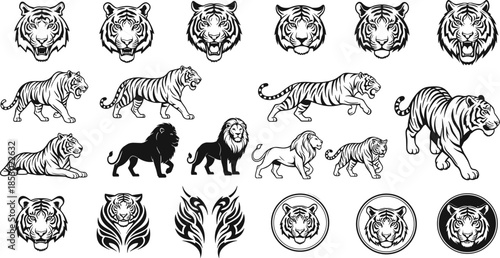 Black and white tiger and lion illustration set, fierce big cat vectors for logos, mascots, tattoos, wildlife branding, and graphic design