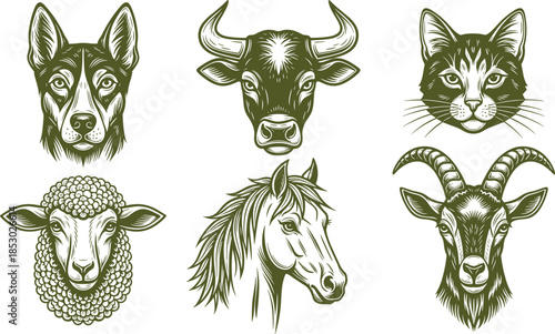 Vintage farm animal head illustration set, detailed hand drawn livestock portraits in classic engraving style vector collection for rustic branding and packaging