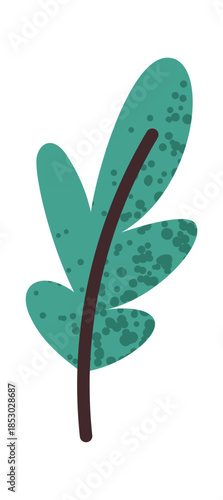 Aromatic green leaf for cooking