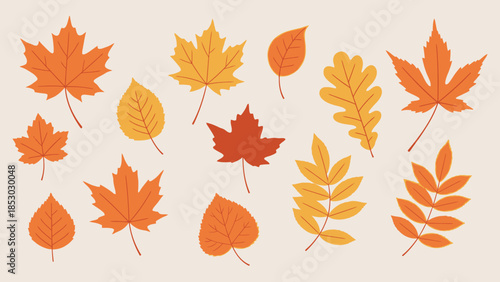 Collection of various autumn fall leaves with vibrant colors, isolated on a light beige background, illustrating seasonal beauty.