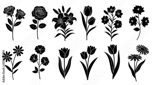 Collection of Various Flower Silhouettes Isolated White Background