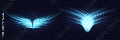 Luminous set "Angel wings" with backlight effect.