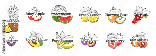 Vintage Fruit Logo Vector Set with Hand Drawn Illustrations and Creative Text Compositions