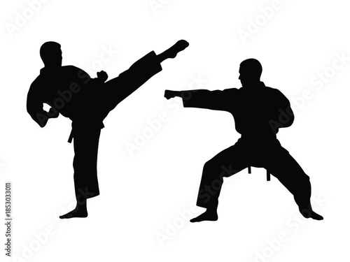 Black silhouettes of two martial artists performing high kick and punch poses