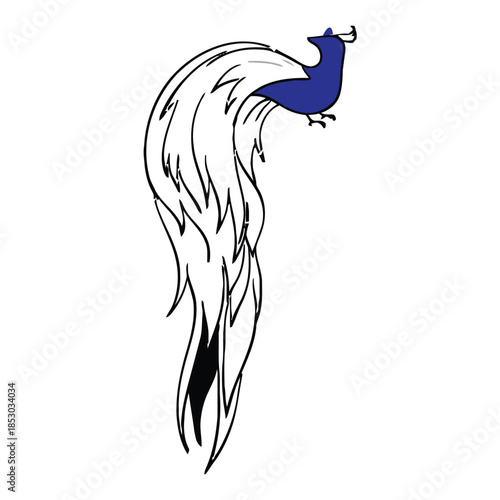 A majestic peacock displays its vibrant blue body and white feathers in a beautiful illustration