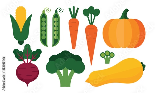 Colorful assortment of fresh vegetables