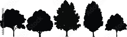 row, trees, black, white, different, sizes, next, calm, nature, peaceful, standing, tall, mood, leaf, silhouette, plant, vector, illustration, design, branch, forest, wood, outline, season, landscape,