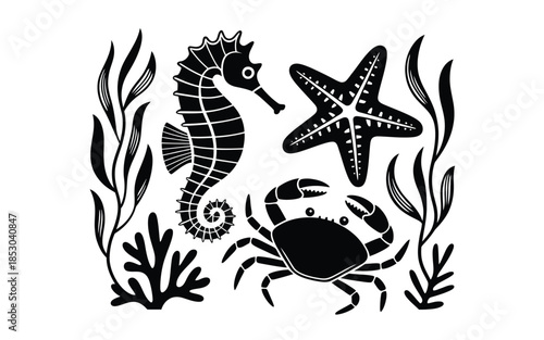 Underwater marine life silhouette