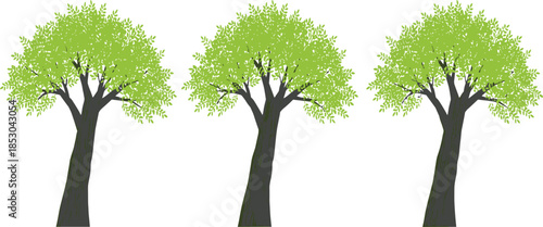 Stylized tree illustration, leaning trees, green foliage, nature vector, landscape design, botanical art, forest, garden, environment, plant, clipart, silhouette