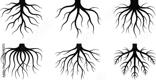 Minimalist Black and White Tree Root Systems Silhouette Set in Clean Vector Grid