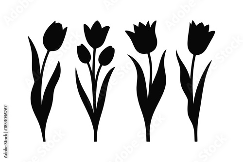 Silhouettes of tulips