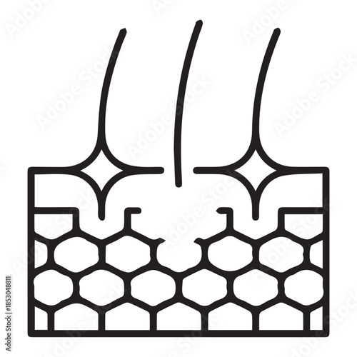 Hair follicle growth and scalp regeneration icon