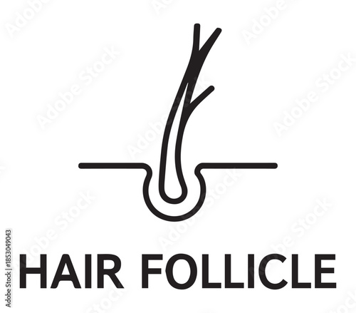 Minimalist black line art icon of a hair follicle and root