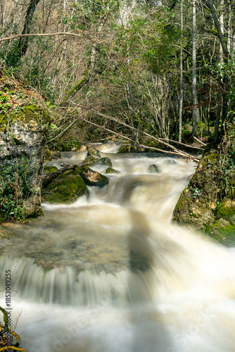 Thaw creek in the forest