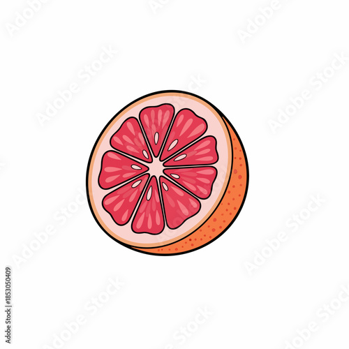 Grapefruit slice cartoon illustration with pink pulp and flat vector style
