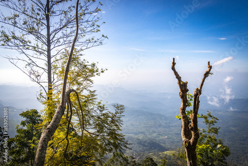idalgashinna, sri lanka, hiking, outdoors, moutains, tea plantations, ceylon, railways