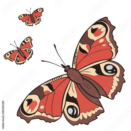 Red butterflies with brown and beige markings on white background