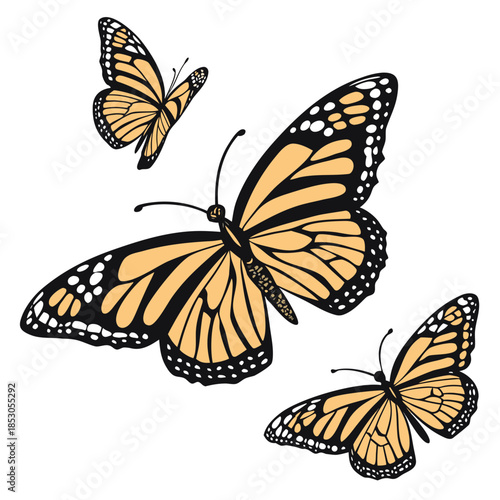 Monarch butterflies drifting upward slowly realistic wing 1