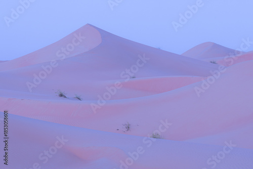 View of the serene, rolling dunes bathed in the soft hues of twilight, where delicate desert flora punctuates the vast, pink landscape, Bateen Liwa, Abu Dhabi, United Arab Emirates.