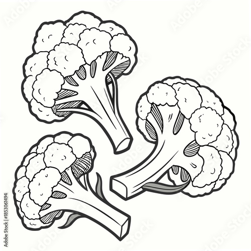 Three cauliflowers in semi circle composition vegetables