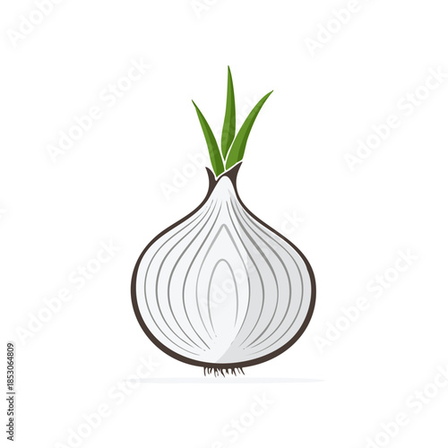 Illustration of a bulb onion with fresh green sprouts for healthy and flavorful cooking