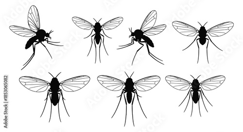 Detailed black mosquito illustrations in various poses
