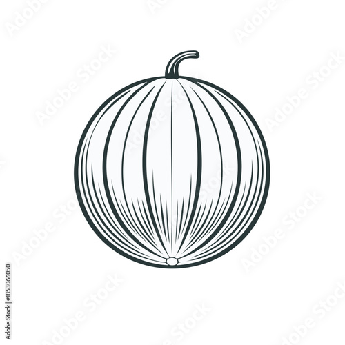 Simple Graphic Outline Watermelon Single Fruit Illustration Vector Design isolated on white background