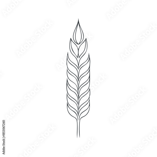 Delicate wheat ear drawing against plain background, a symbol of harvest season, agriculture, and organic grains