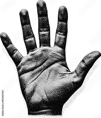 Vintage Stippled Open Human Hand Palm Illustration with Black and White Dotted Shading Texture for Palmistry Anatomy and Retro Branding