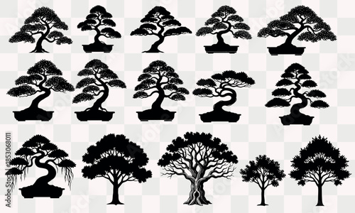 Collection of bonsai trees isolated on transparent background