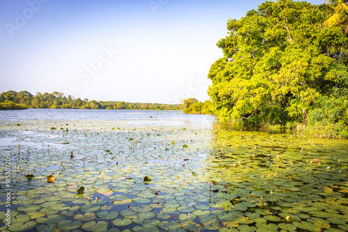 yala national park, sri lanka, game drive, ceylon